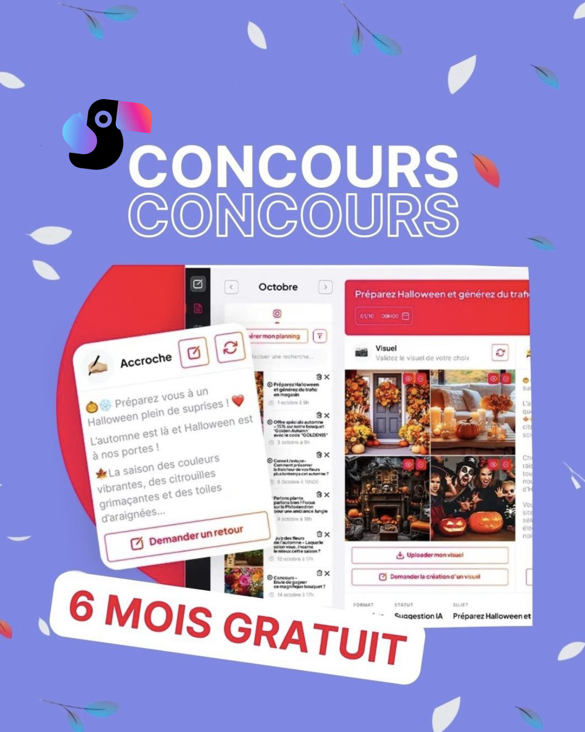 Comment organiser un jeu concours sur Instagram
